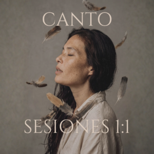 4 Sesiones de Canto Online