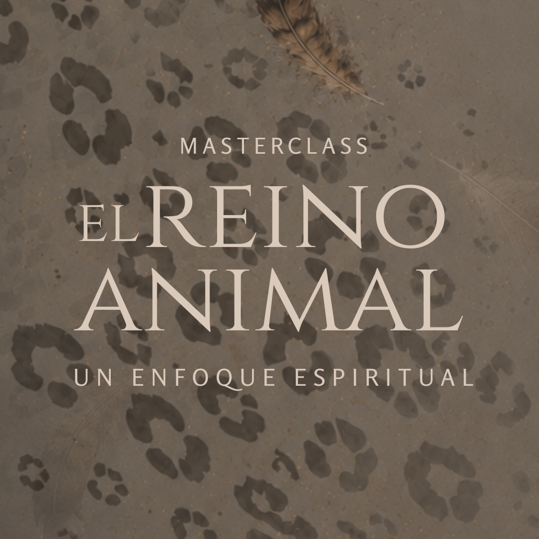 Masterclass: El Reino Animal: imagen 1
